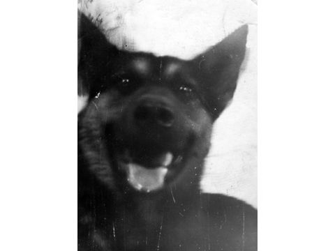 Foto 42